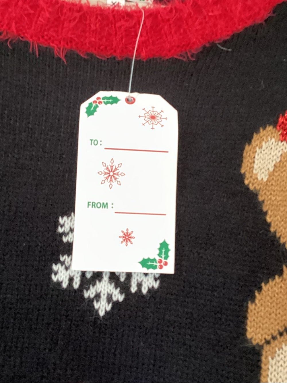 Black Teddy Holiday Sweater with Red Trim XL BNWT - Picture 2 of 5